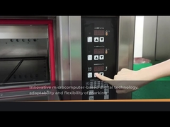 High End Microcomputer Stainless Steel Commercial  One Deck Two Trays Bakery Oven